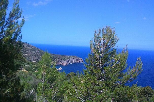 Mallorca coastline