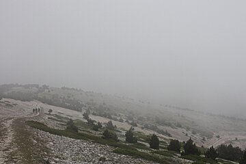 a cloud covered trail on mont ventoux