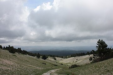 a hillside in provence