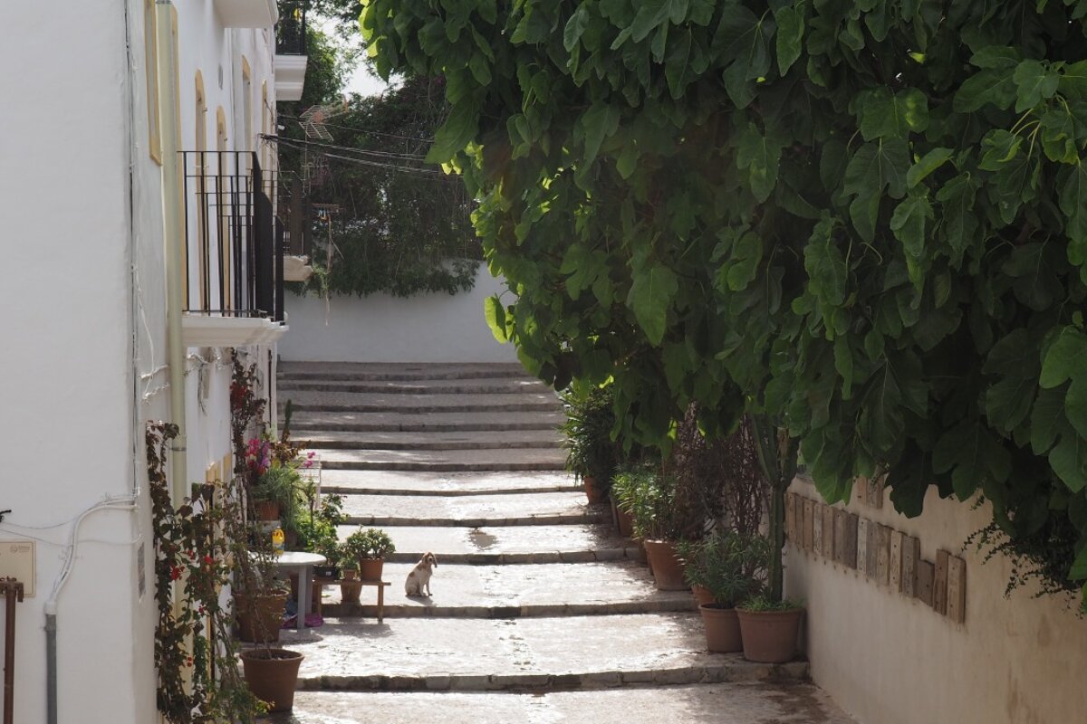 A narrow street in Ibiza Old Town