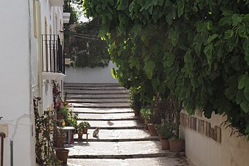 A narrow street in Ibiza Old Town