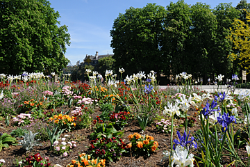 flowers in a city park