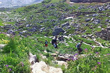An image of runners on a mountain trail near Chamonix mont blanc