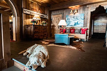 A dog is laying on the floor in a living room