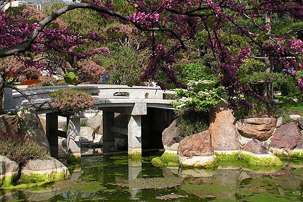 a japanese style pond with bridge in Monaco