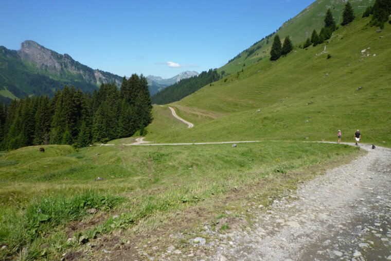 a walking trail with two people and a dog on it