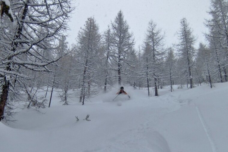 a skier in the trees in italy