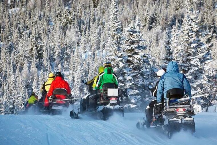 Ben's Bus Airport Transfers,