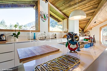 A kitchen with a statue of an owl on the counter