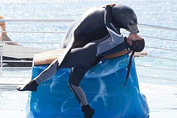 Marineland, Portals Nous
