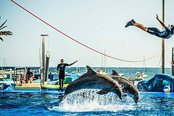 Marineland, Portals Nous