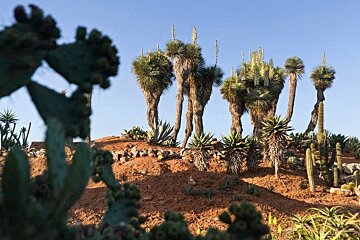 Botanicactus Botanical Gardens, Ses Salines
