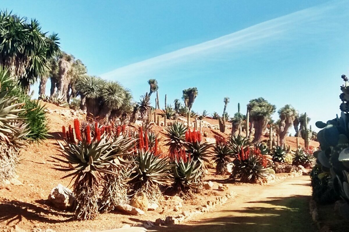 Botanicactus Botanical Gardens, Ses Salines
