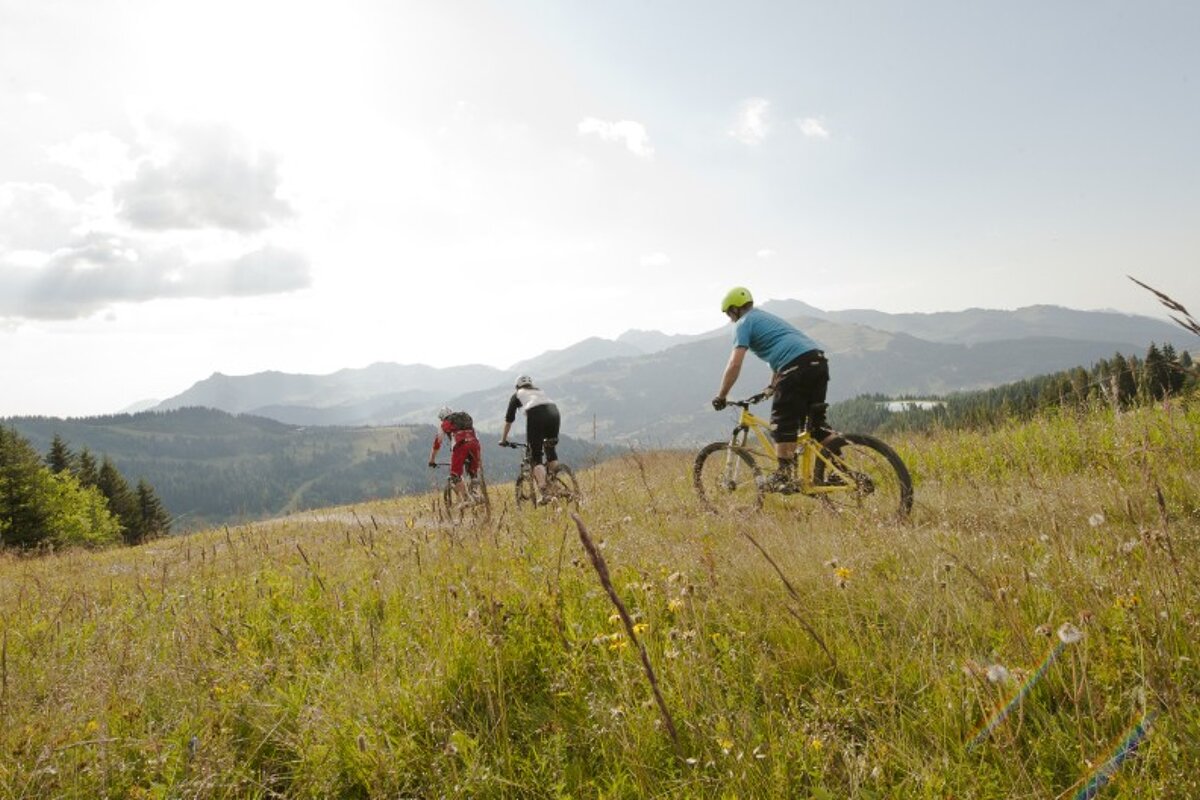 a meadow with 3 mountain bikers