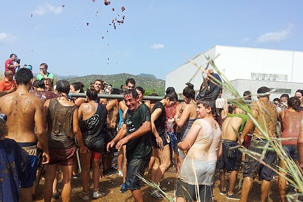 Grape throwing in action!