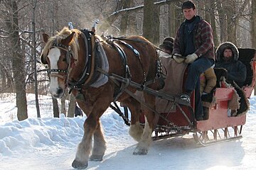 Horse drawn sleigh ride in Les 2 Alpes