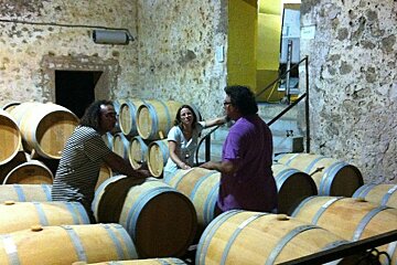 Anima Negra Vineyard, Felanitx interior