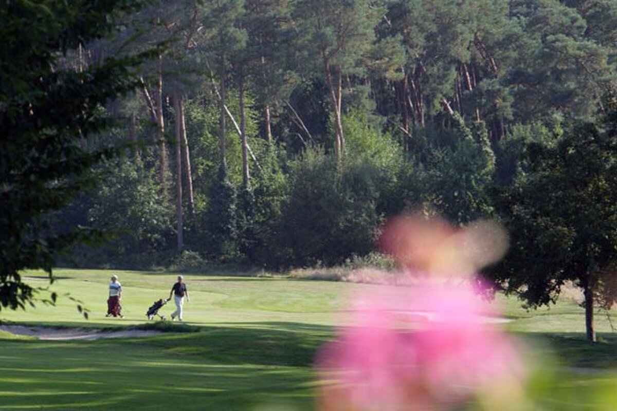 Chateau de Cheverny Golf Course, Cheverny course