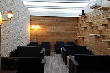 La Compagnie des Chats Cafe, Avignon