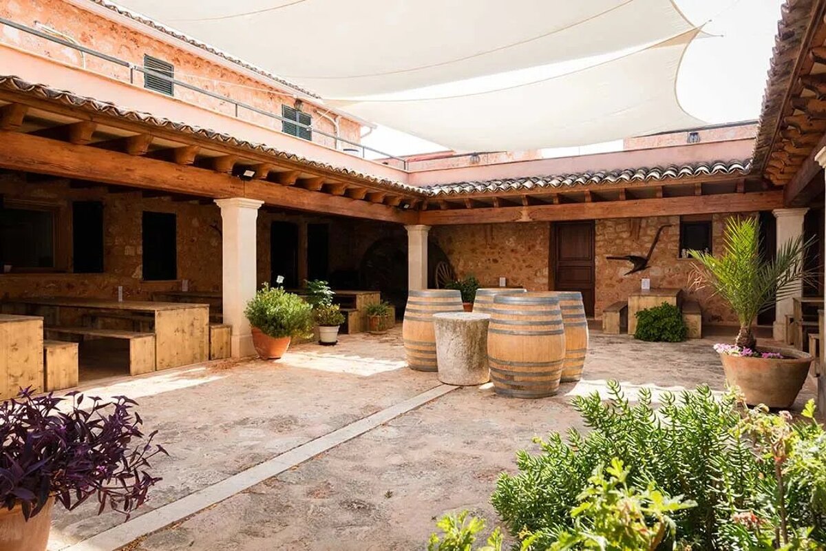 Bodegas Angel Vineyard, Santa Maria del Cami