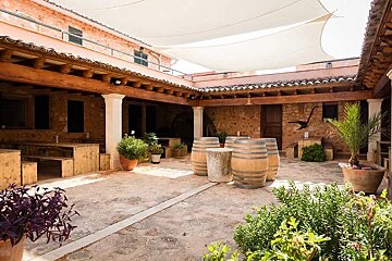 Bodegas Angel Vineyard, Santa Maria del Cami