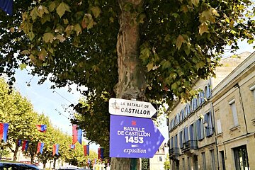 signs for the battle of castillon