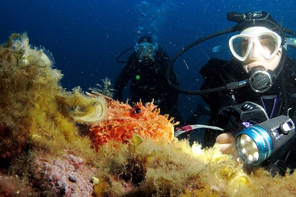 Club d'Exploration Sous Marine de Monaco, Monaco
