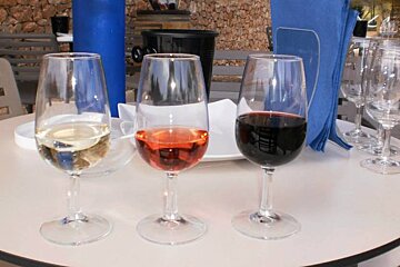 Terramoll Vineyard, Formentera