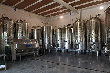Terramoll Vineyard, Formentera
