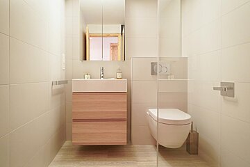 A bathroom with a toilet a sink and a mirror