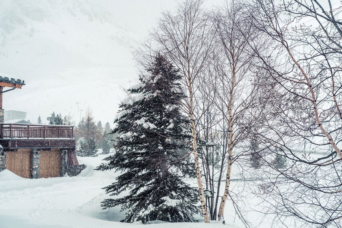 A snowy landscape with trees and a house in the background