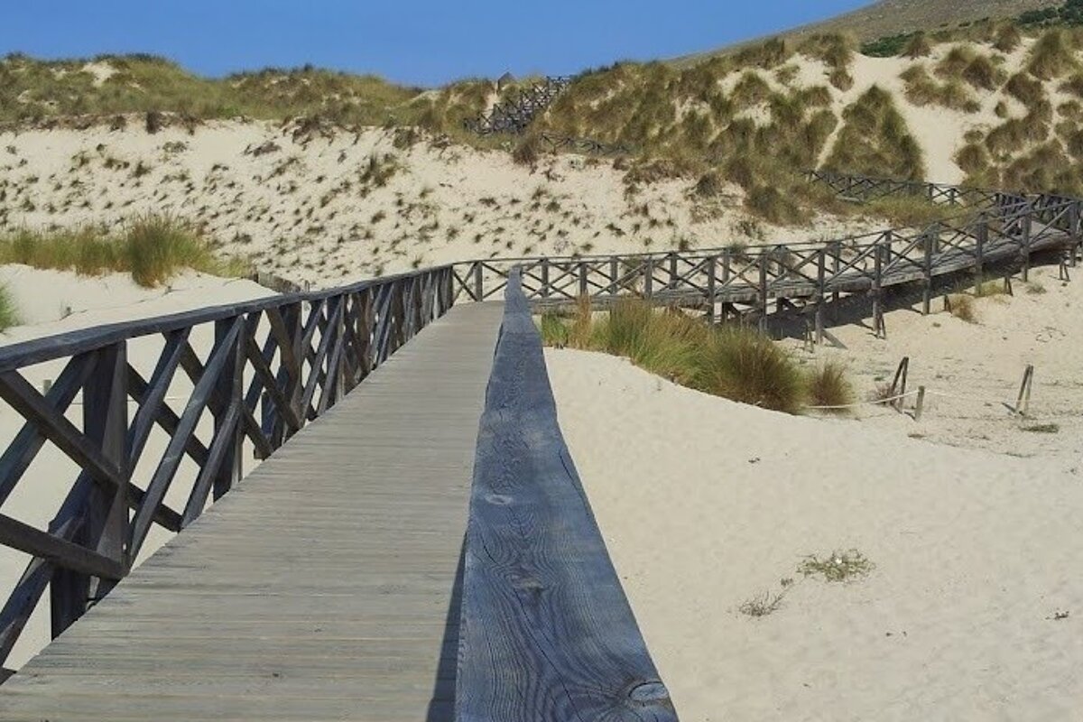a walkway over a protected area at a beach