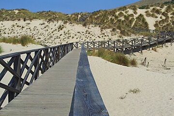 a walkway over a protected area at a beach
