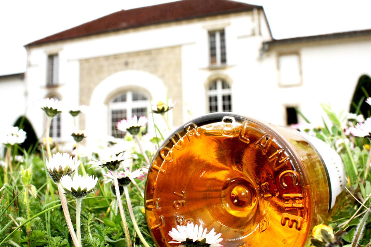 Chateau La Tour Blanche, Sauternes
