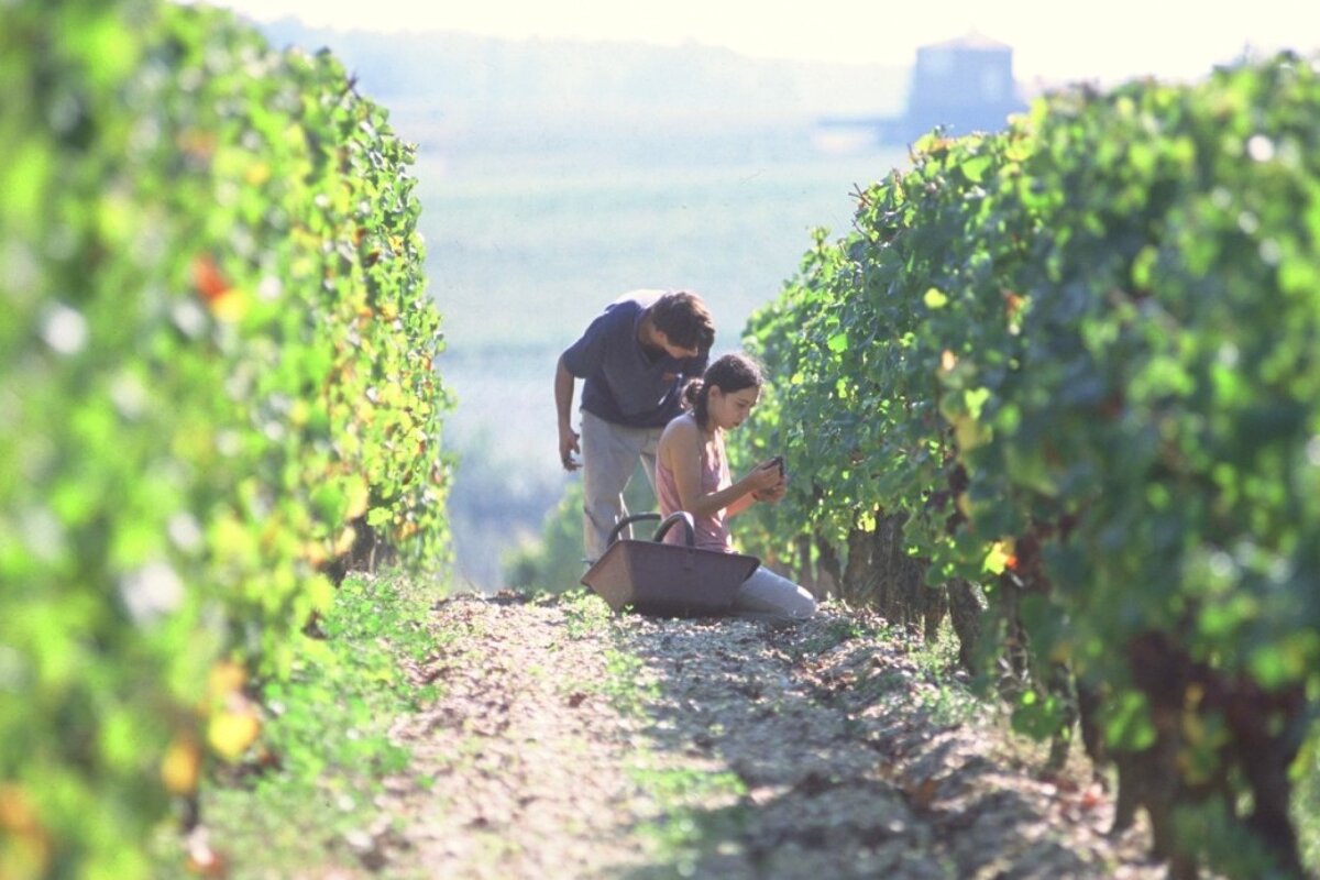 Chateau La Tour Blanche, Sauternes