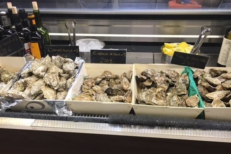 San Juan Gastronomic Market Review