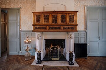 A fireplace with a lion statue in front of it