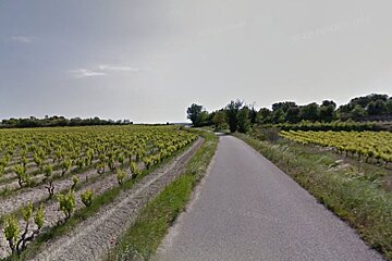 Cycling in the Cotes du Rhone from Sainte-Cecile-des-Vignes