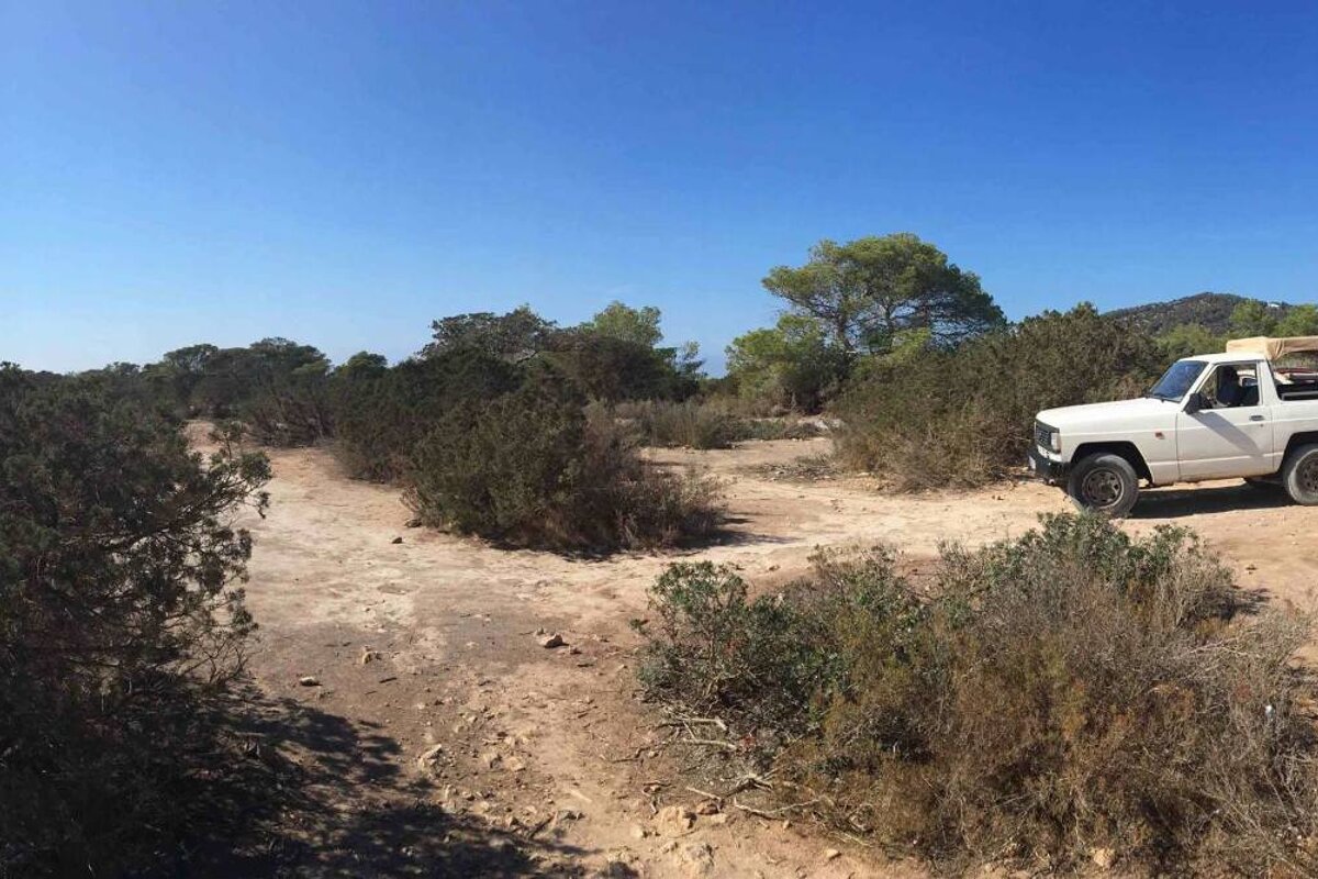 Ibiza Jeep Safari, Santa Eulalia