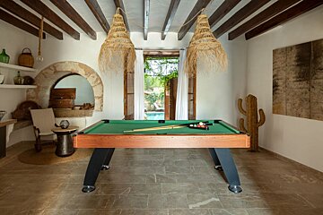 A pool table in a room with a cactus on the floor