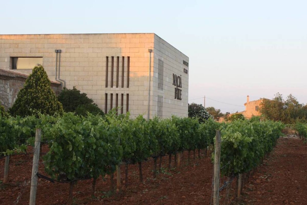 Bodegues Macia Batle Vineyard, Santa Maria del Cami interior