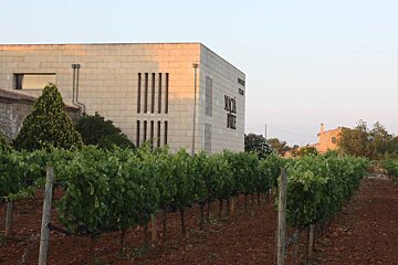 Bodegues Macia Batle Vineyard, Santa Maria del Cami interior