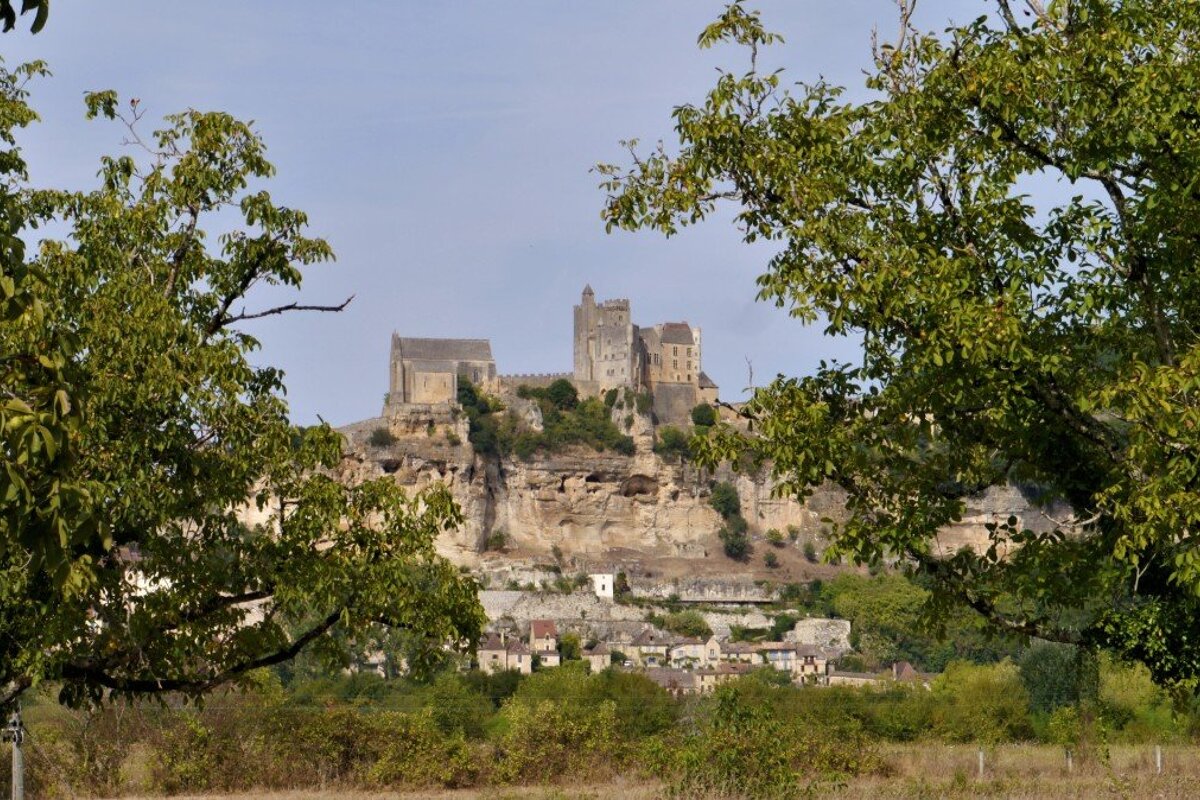 looking through trees to chateau de beynac