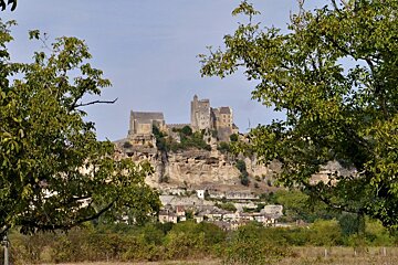 looking through trees to chateau de beynac