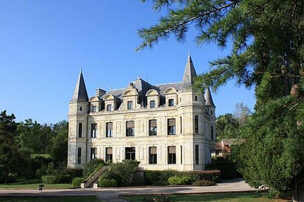 Gironde Chateau For Sale, Bordeaux Region (Gironde) chalet