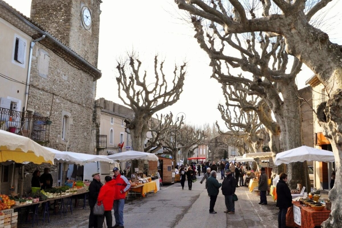 truffle markets in provence