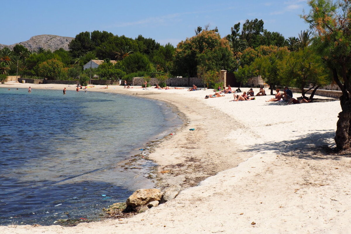 a small white sandy beach with palm trees