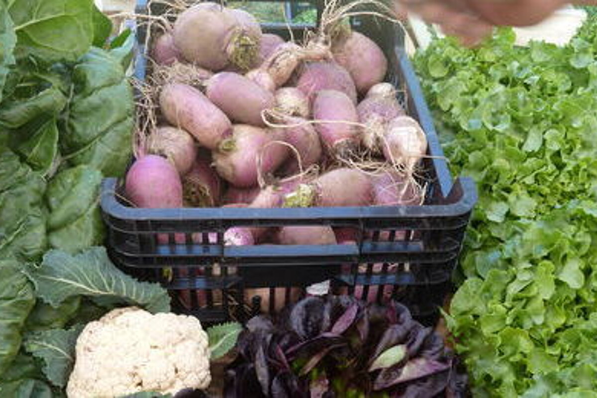 Vallorcine Market, Vallorcine