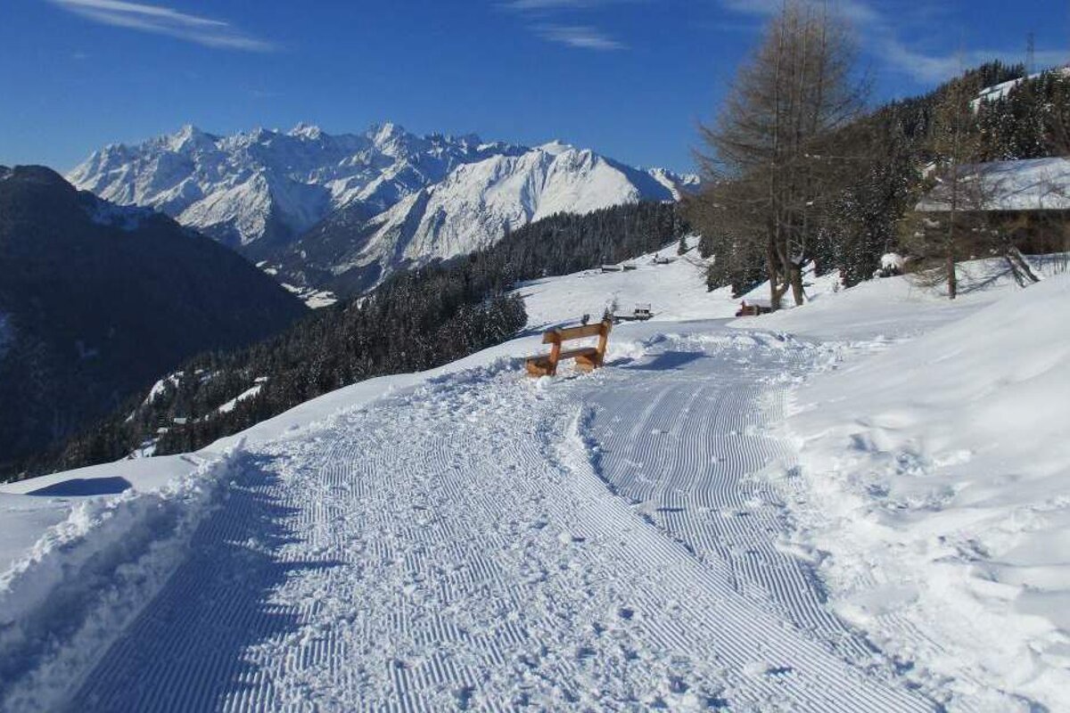 a park bench on a snowy trail