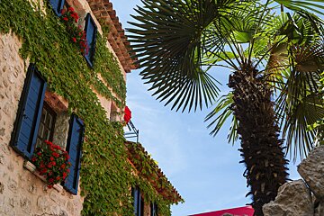 A building with a palm tree in front of it